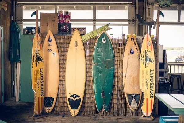 L'univers mouvementé du surf et ses origines passionnantes