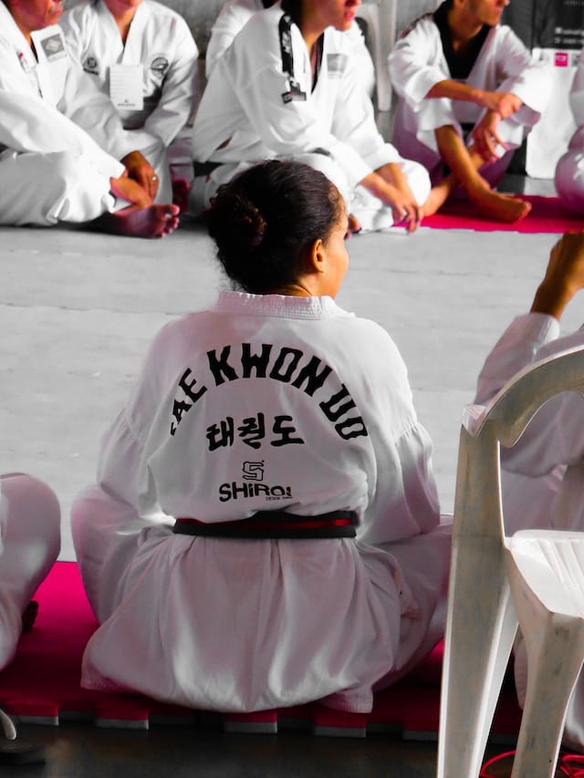 La puissance du Taekwondo : techniques de coups de pied et de poing